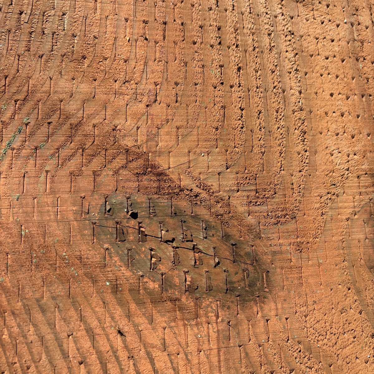 Close-up of incised surface on 2x ground contact pressure-treated #2 fir lumber
